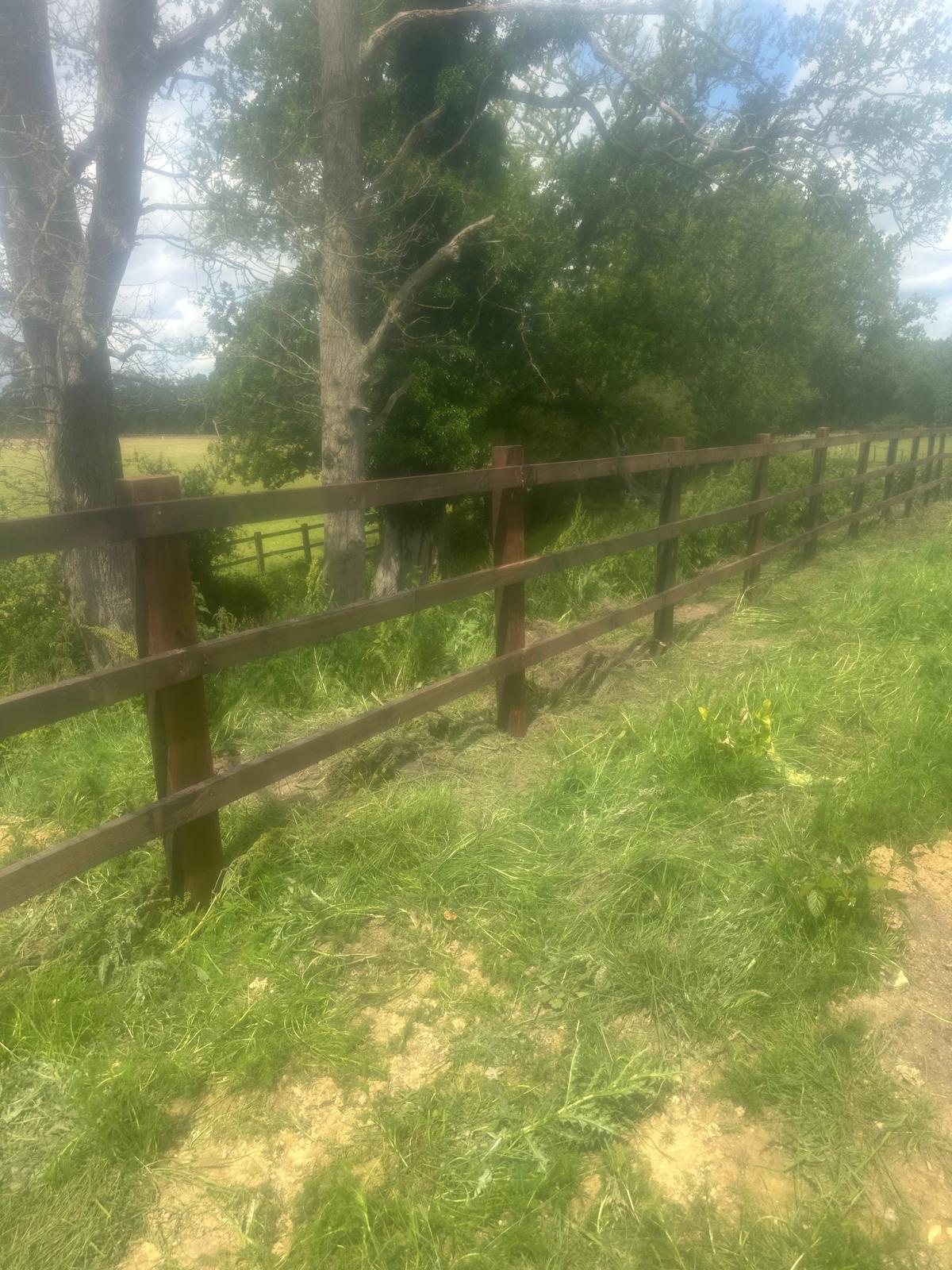 Timber post-and-rail fencing running along a parkland boundary